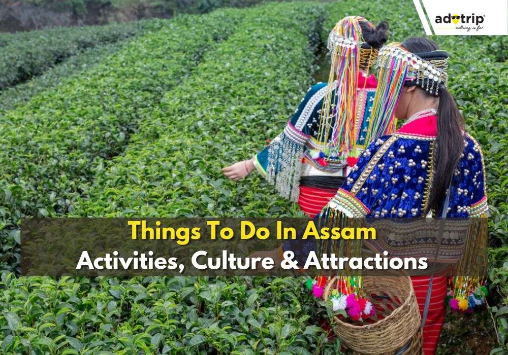 15 Famous Things To Do In Assam